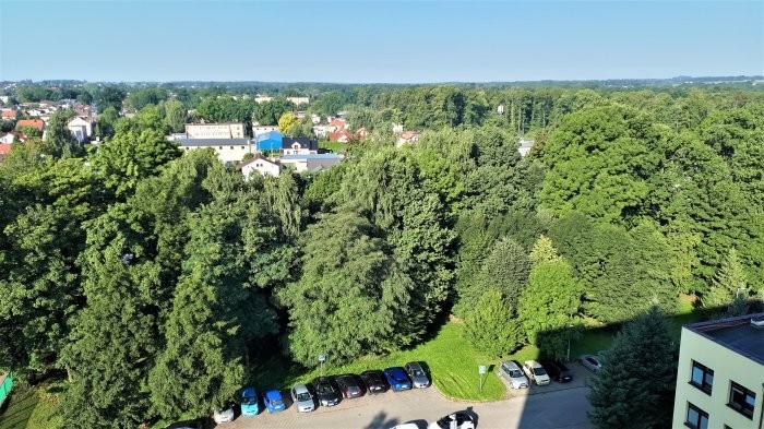 Ogród szpitalny widziany z okien budynku, przed nim parking.