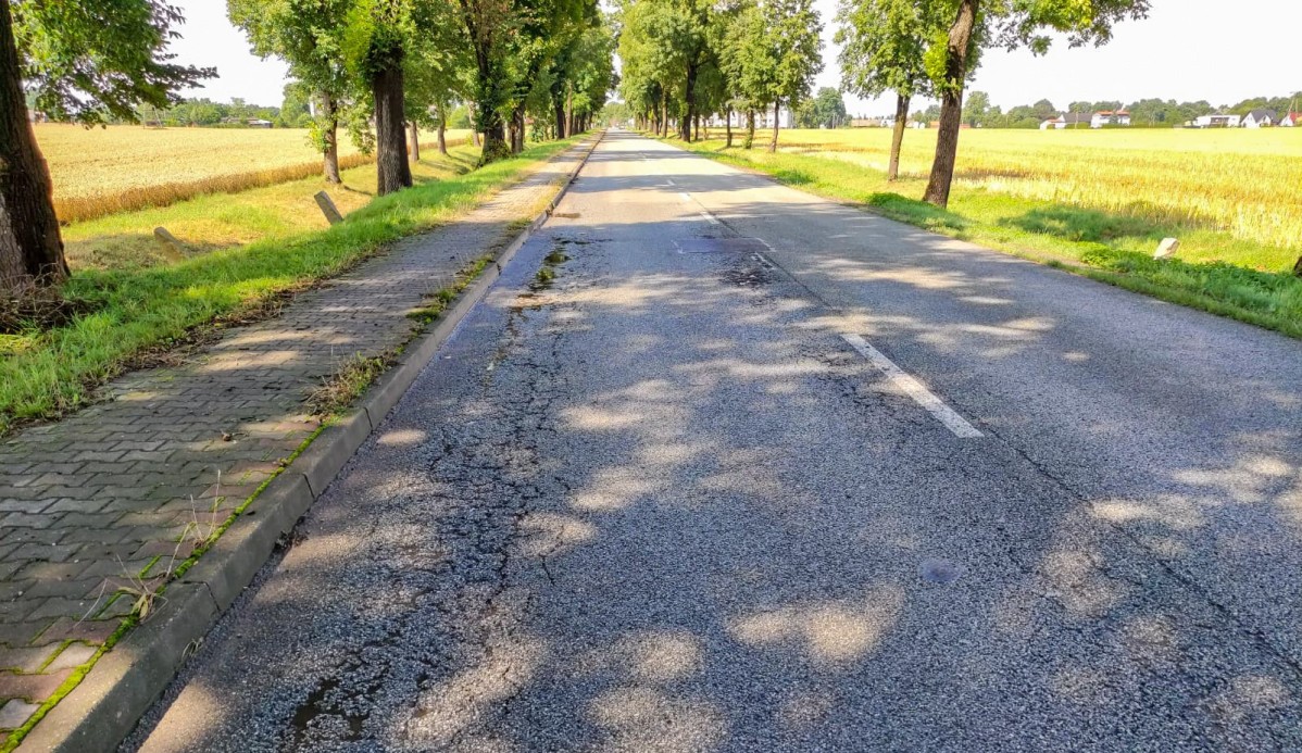 Spękana droga asfaltowa na ul. Lipki w Mizerowie, w oddali drzewa