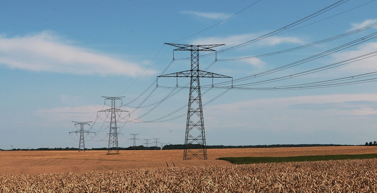 Linie energetyczne przebiegające nad polami zboża.