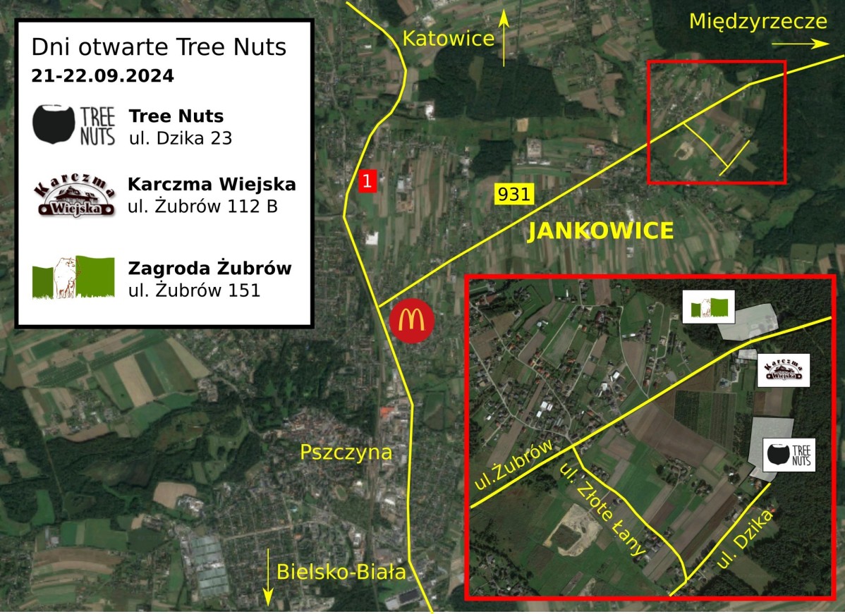 Mapa pokazująca, jak dojechać do tree nuts.