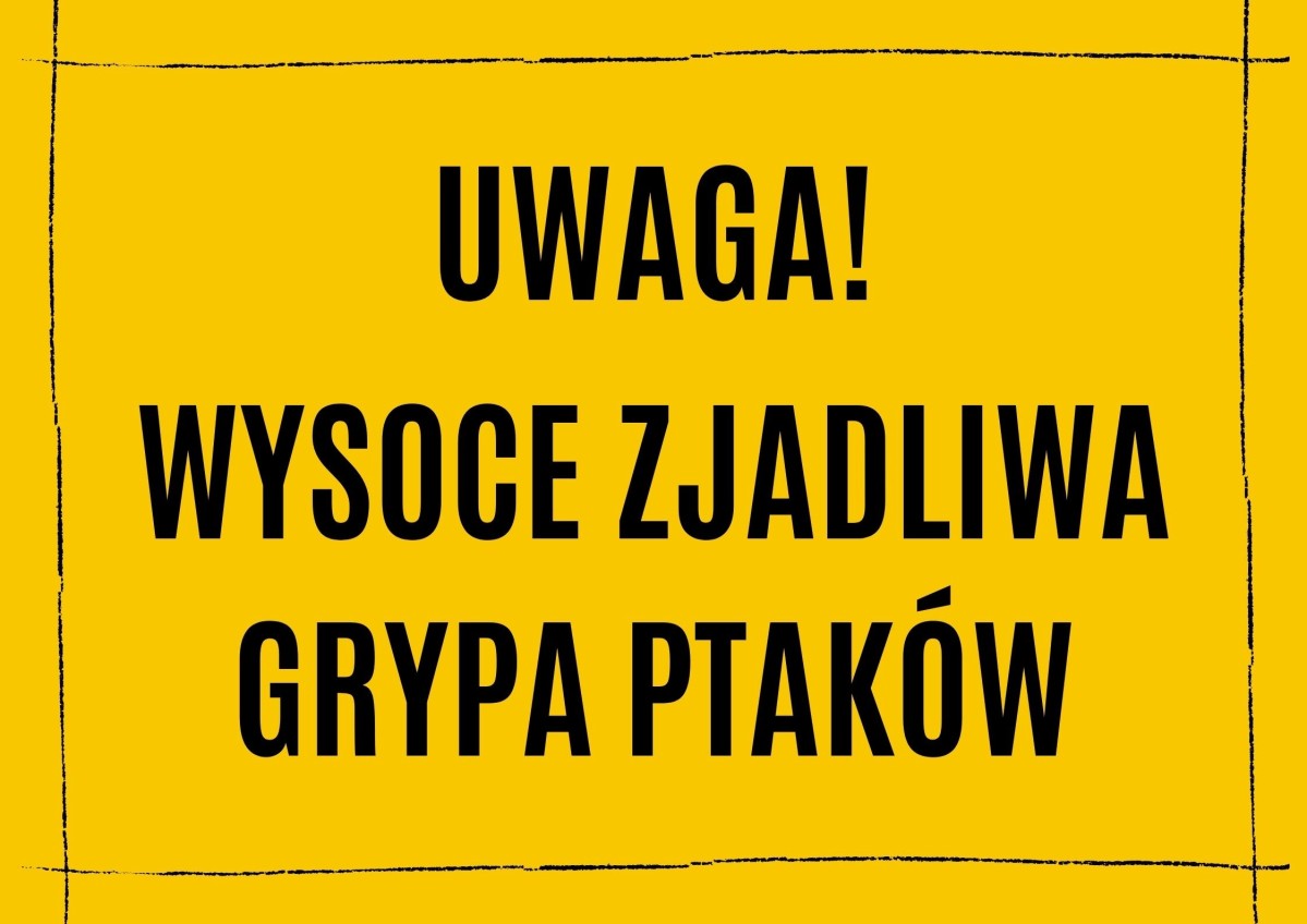 Żółta plansza z napisem Uwaga! Wysoce zjadliwa grypa ptaków.