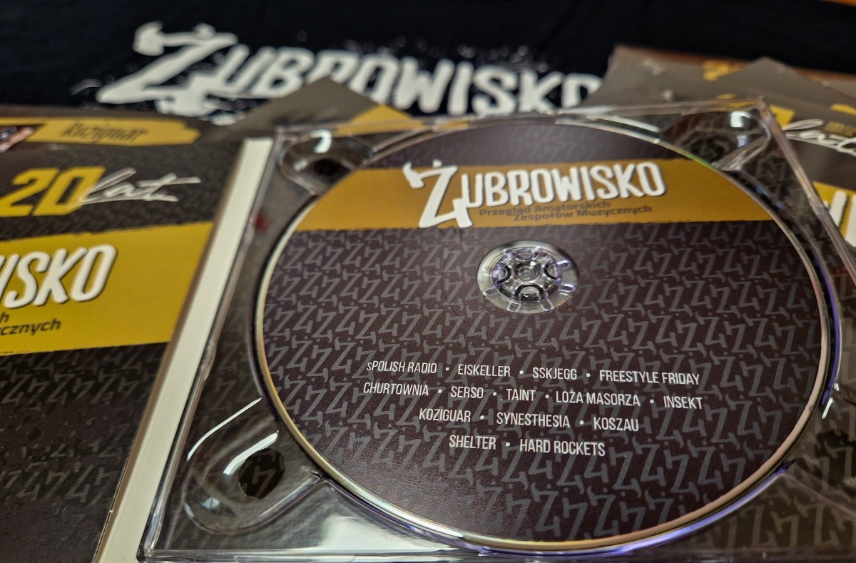 Płyta położona wśród innych płyt.