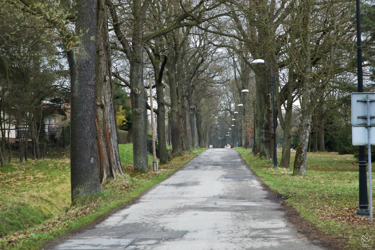 Ulica Leśników w Kobiórze z nierówną, popękaną nawierzchnią.