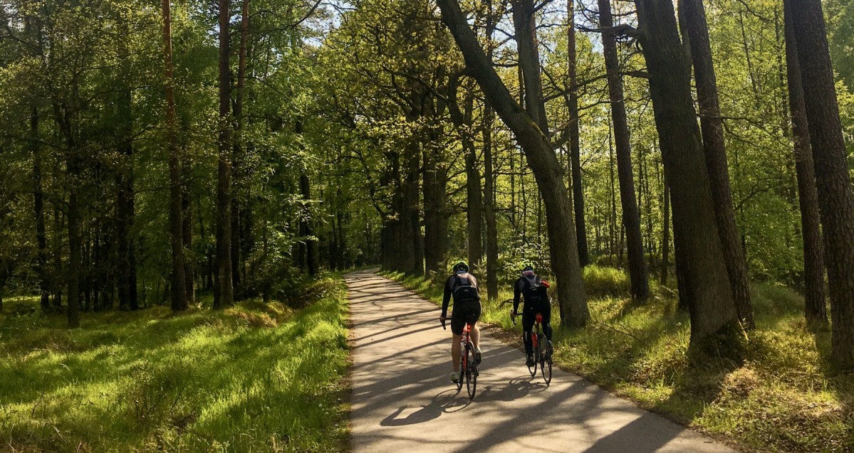 Dwóch rowerzystów jedzie asfaltową drogą rowerową wśród drzew.