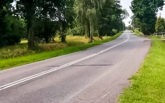Droga wzdłuż, której rosną drzewa.
