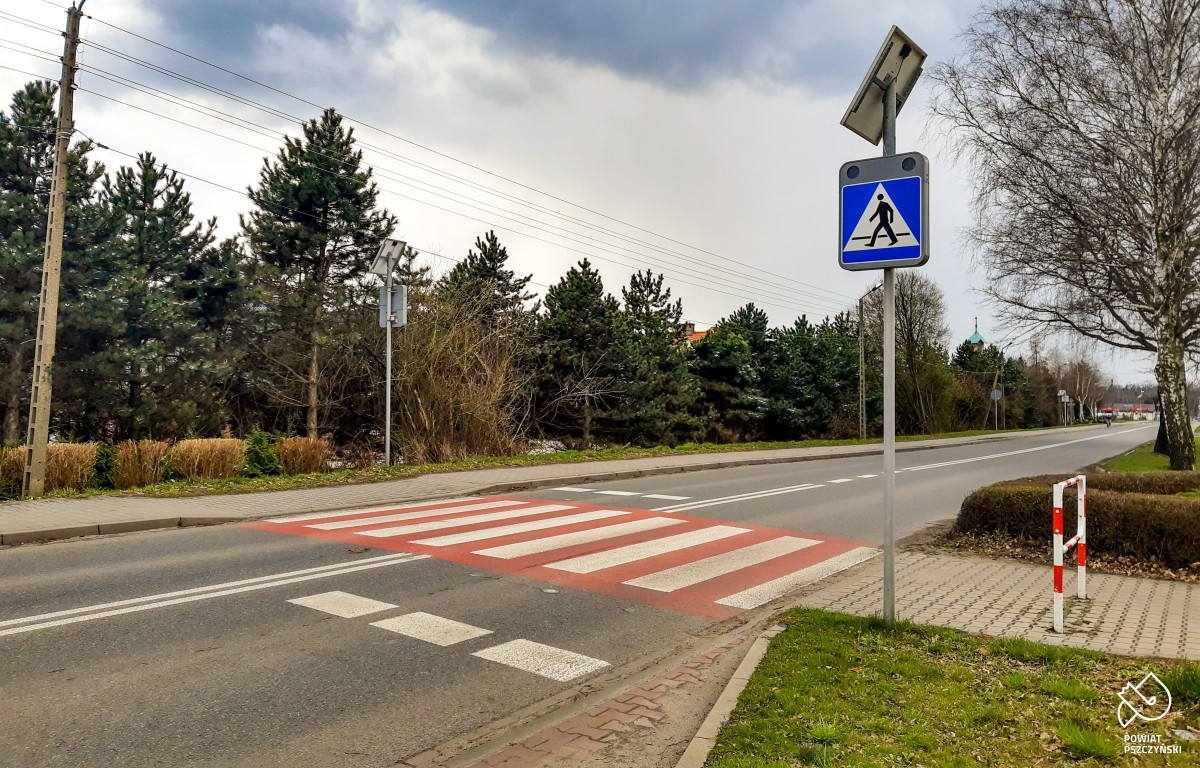 Biało-czerwone przejście dla pieszych przy głównej ulicy w Woli. Wzdłuż chodnika rosną sosny.