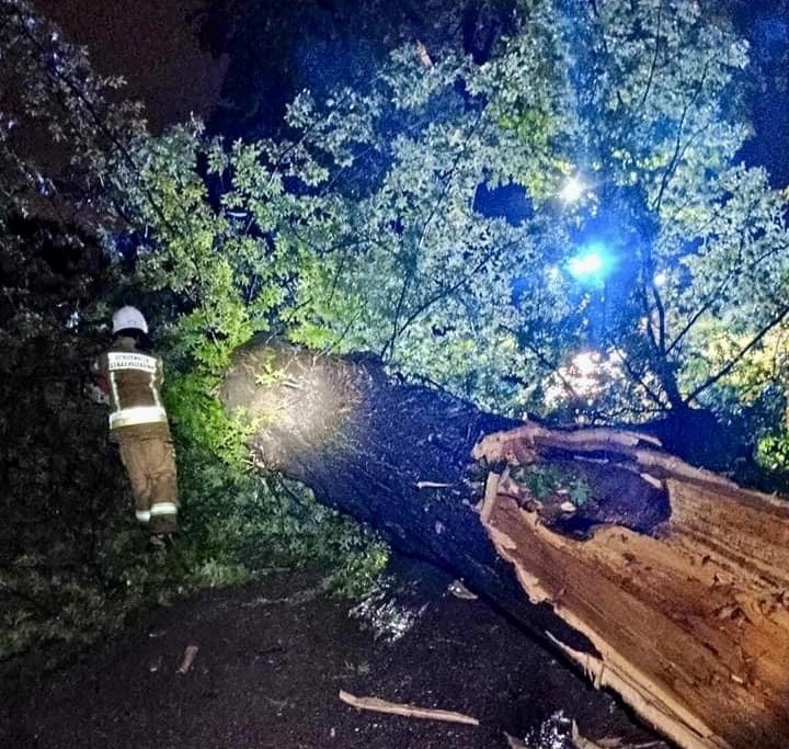Strażak przy powalonym na jezdnie drzewie w nocy.