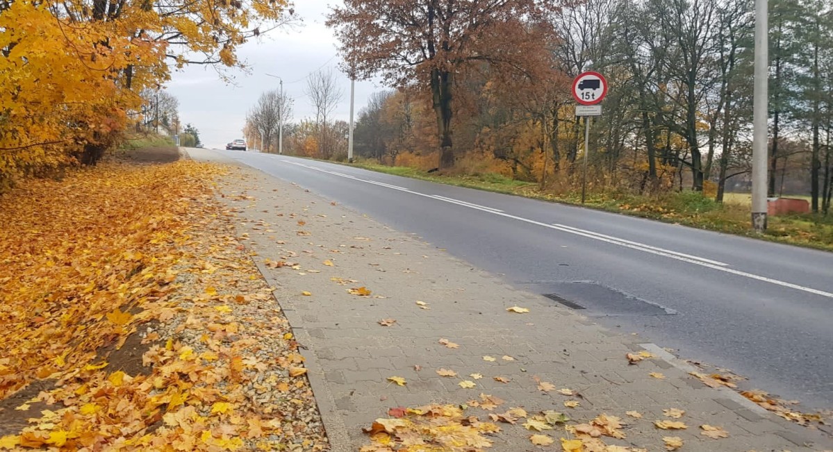 Droga i nowo wybudowany chodnik przy ul. Ligonia w Krzyżowicach, dużo żółtych opadniętych liści.