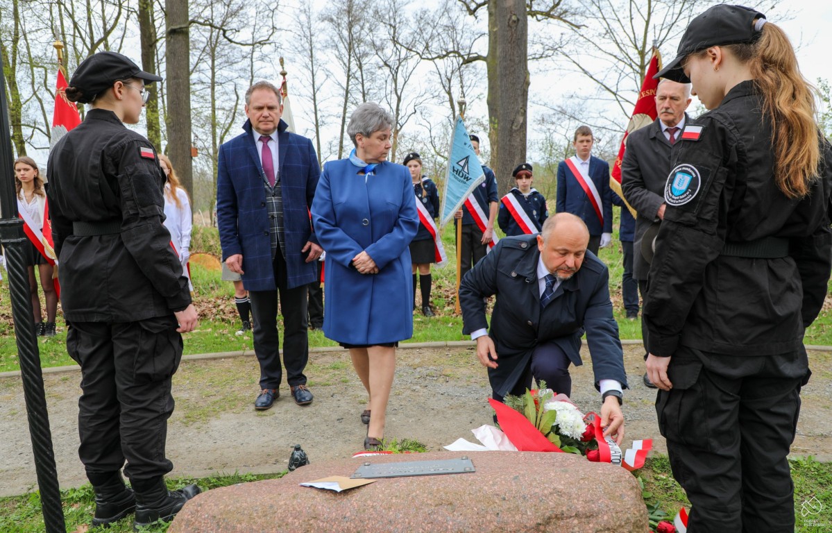 Starosta składa kwiaty pod dębem katyńskim.