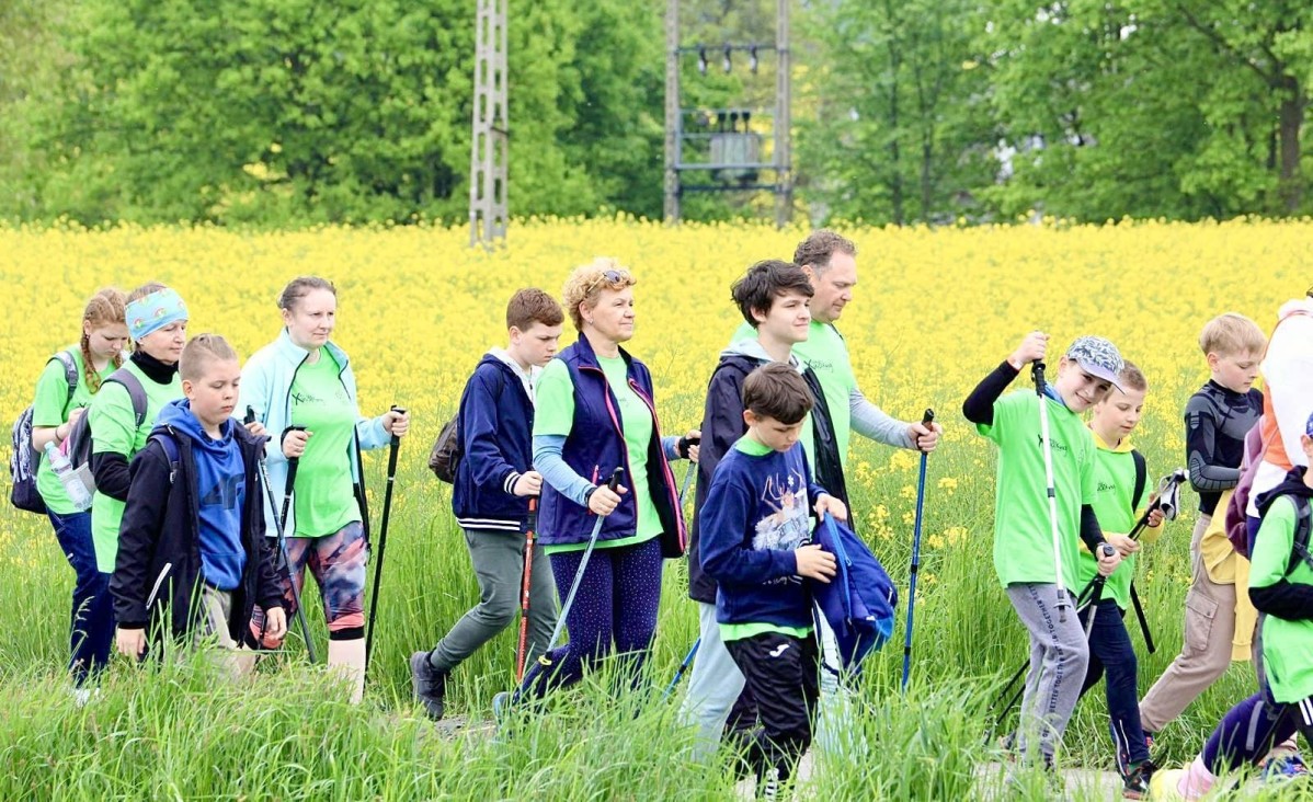 Osoby idące z kijkami przy rzepaku, podczas poprzedniej edycji imprezy.
