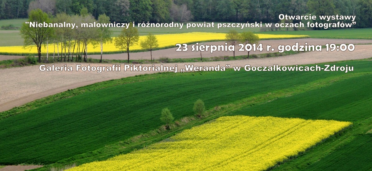 wernisaż wystawy plenerowej