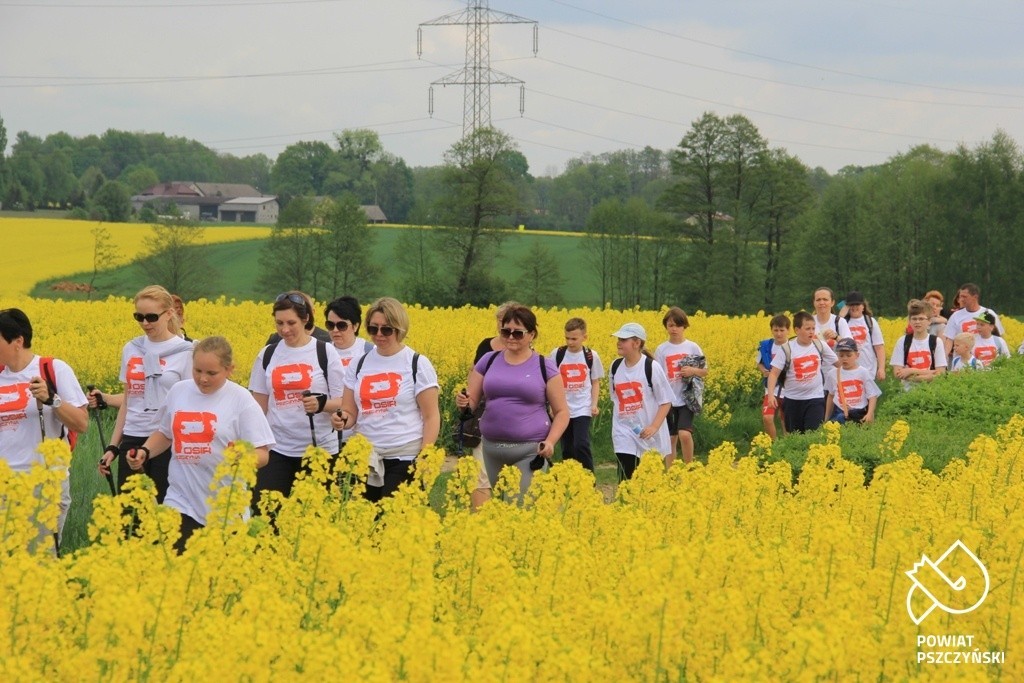 Nordic Walking