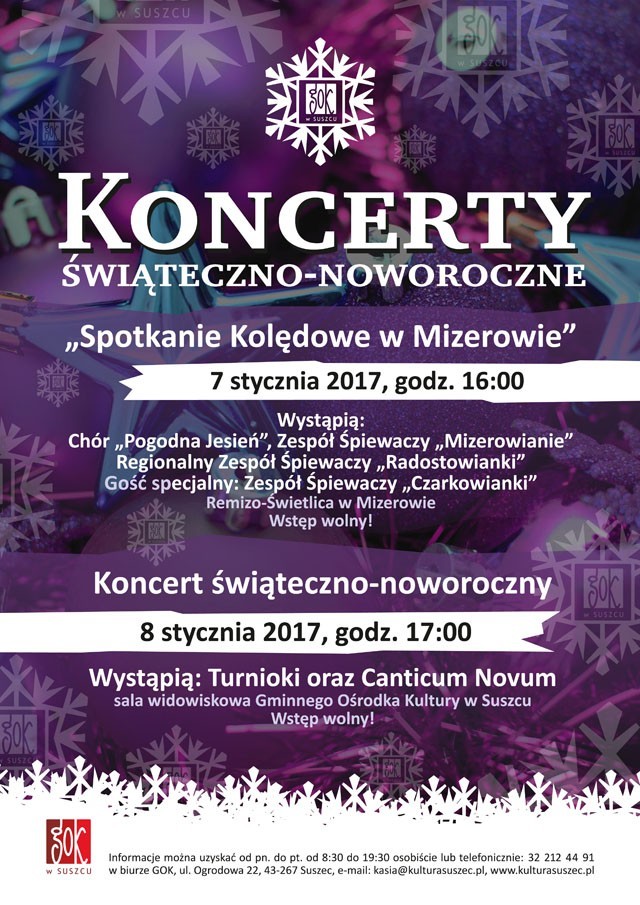 gok suszec koncerty