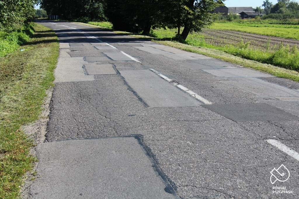 Pszczyńska Wola