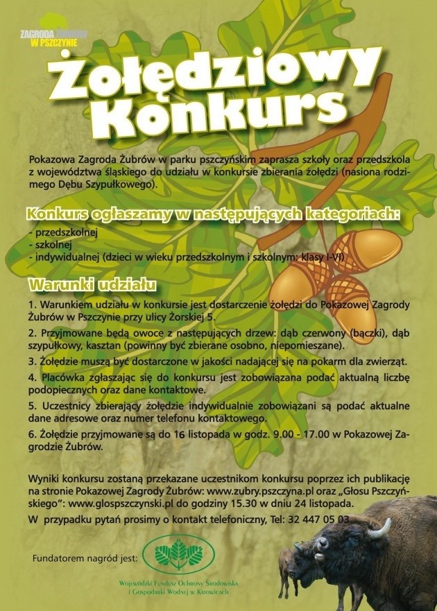 żołędzie