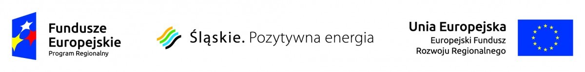 Praktyczna nauka zawodu - logo