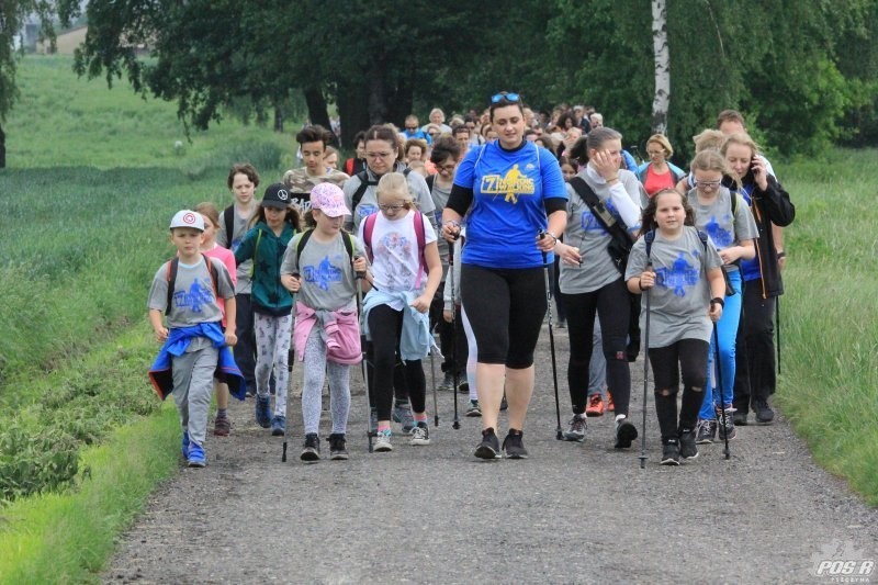 nordic walking 2018
