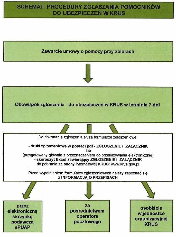 Schemat procedury zgłaszania