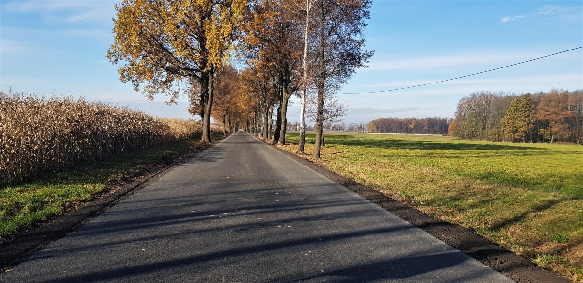 Zdjęcie przedstawia drogę z nową nawierzchnią. Wzdłuż niej rosną drzewa oraz kukurydza.